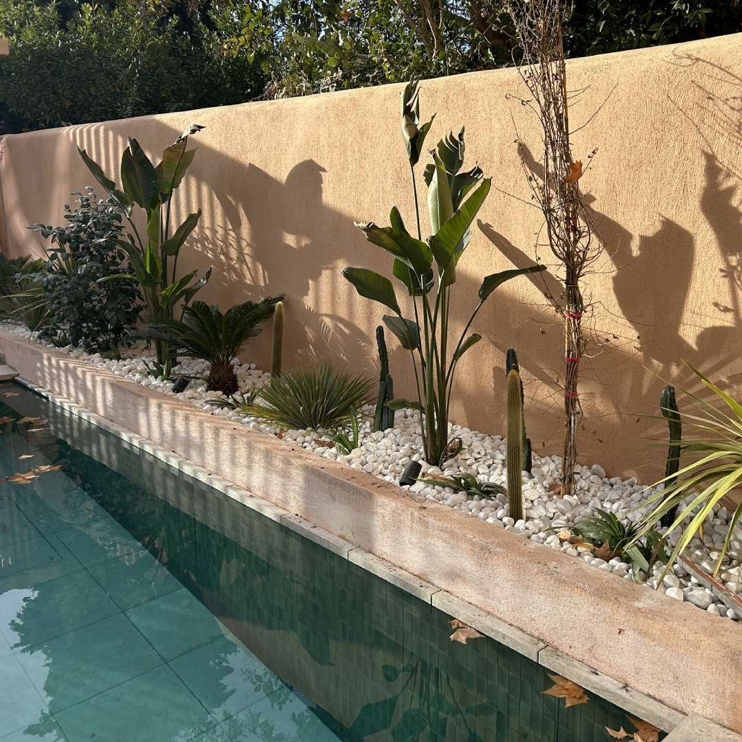 Agence M Com Marseille Apc Aubagne Paysage Conseils realisation creation paysagere plantation vegetaux piscine