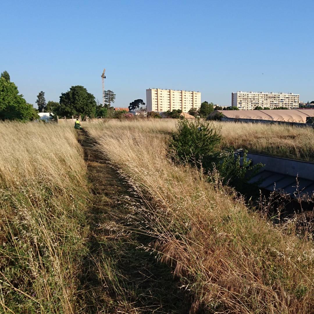 Agence M Com Marseille Apc Aubagne Paysage Conseils realisation entretien espace vert tonte